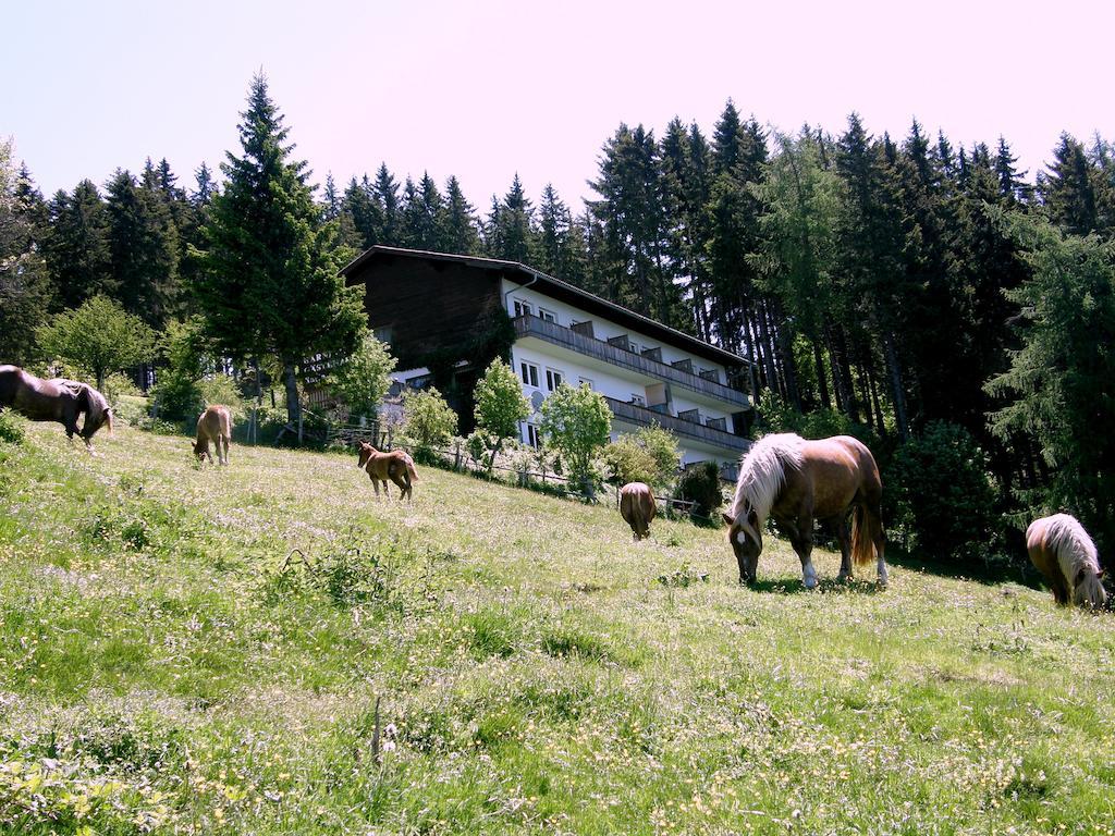 Hotel Garni Gaestehaus Karin Sankt Stefan im Lavanttal Extérieur photo